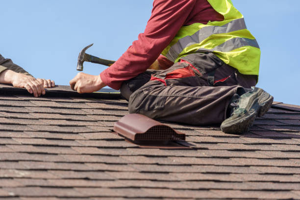 Best Metal Roofing Contractor  in Elmwood, LA